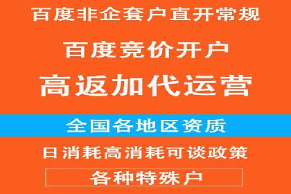 百度广告投放技巧与案例分享